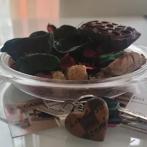 https://la-casa-dei-nonni-rome.it-romehotels.com